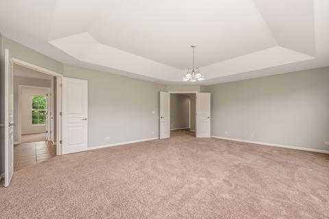 12305 Blue Iris Ln, Plainfield, IL 60585 photo 11