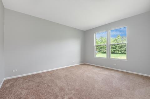 12305 Blue Iris Ln, Plainfield, IL 60585 photo 16