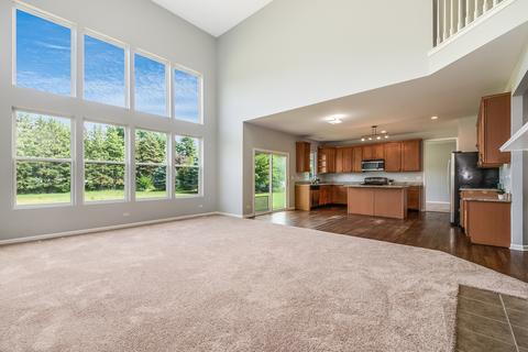 12305 Blue Iris Ln, Plainfield, IL 60585 photo 3