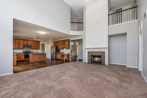 12305 Blue Iris Ln, Plainfield, IL 60585 photo 4