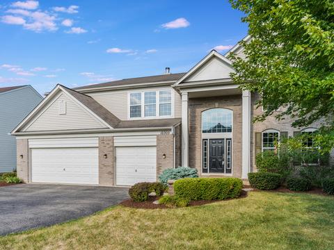 12305 Blue Iris Ln, Plainfield, IL 60585 photo 1