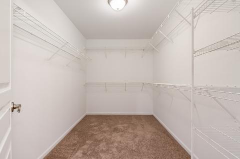 12305 Blue Iris Ln, Plainfield, IL 60585 photo 14