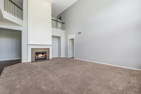12305 Blue Iris Ln, Plainfield, IL 60585 photo 23