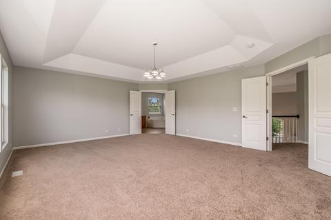 12305 Blue Iris Ln, Plainfield, IL 60585 photo 10