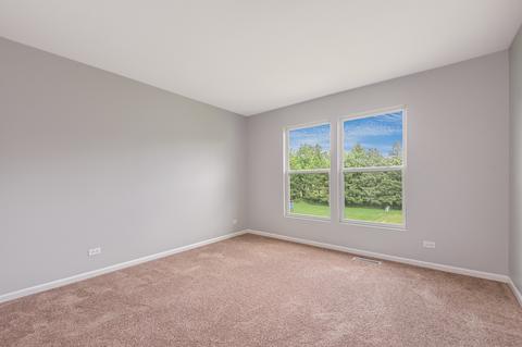 12305 Blue Iris Ln, Plainfield, IL 60585 photo 26