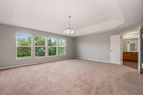 12305 Blue Iris Ln, Plainfield, IL 60585 photo 9