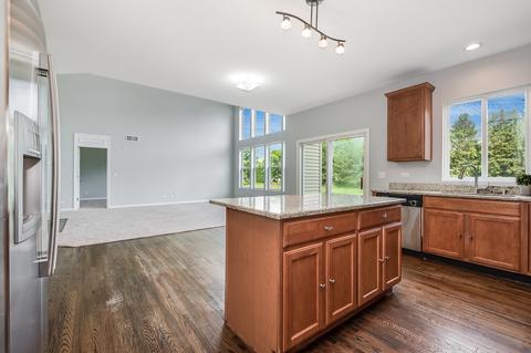 12305 Blue Iris Ln, Plainfield, IL 60585 photo 21