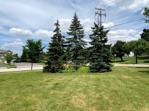 2109 W Adobe Dr #B, Addison, IL 60101 photo 43