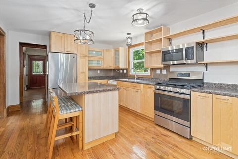 919 Larkin Ave, Elgin, IL 60123 photo 11