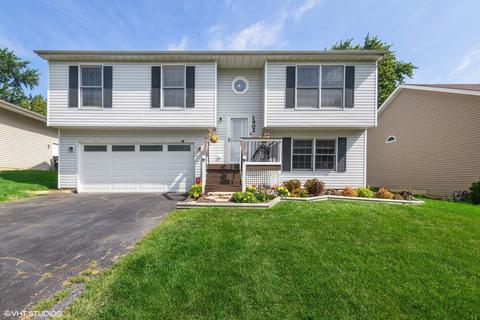 1402 Channel Beach Ave, Johnsburg, IL 60051 photo 1