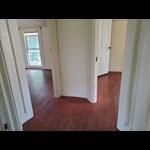 310 Gray Ave, Bloomington, IL 61701 photo 10