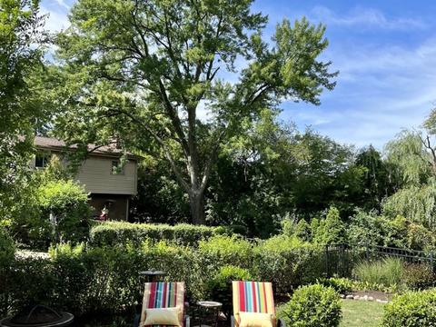 210 N Baynard Rd, Addison, IL 60101 photo 58