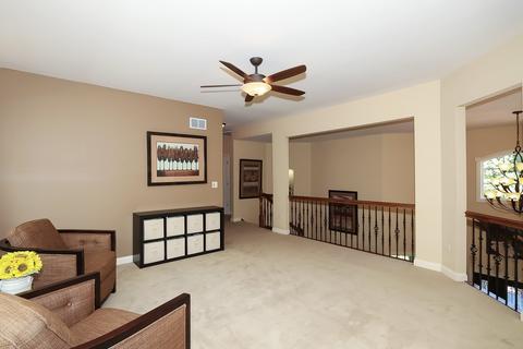 437 Giles Ct, Bartlett, IL 60103 photo 41