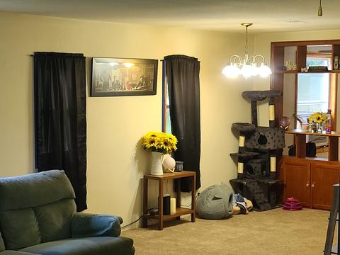 406 2nd Ave E, Lyndon, IL 61261 photo 6