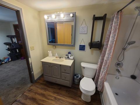406 2nd Ave E, Lyndon, IL 61261 photo 11