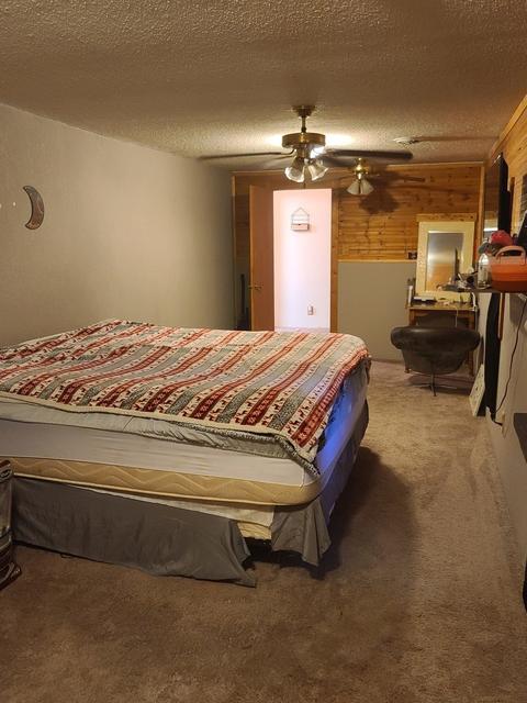406 2nd Ave E, Lyndon, IL 61261 photo 15