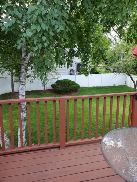 535 Springhill Cir, Naperville, IL 60563 photo 12