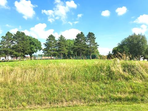 439 Coldspring Drive, Varna, IL 61375