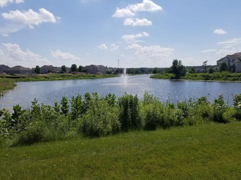 317 Tralee Ln, Mchenry, IL 60050 photo 62