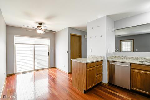 4223 Rivertowne Ct, Plainfield, IL 60586 photo 5