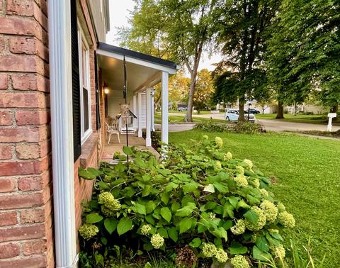 1904 Robert Dr, Champaign, IL 61821 photo 57