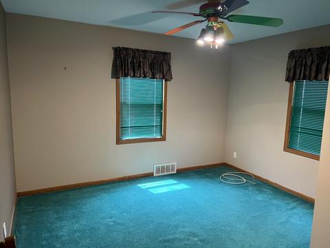 422 E Hitt St, Mount Morris, IL 61054 photo 13