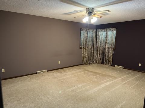 422 E Hitt St, Mount Morris, IL 61054 photo 10