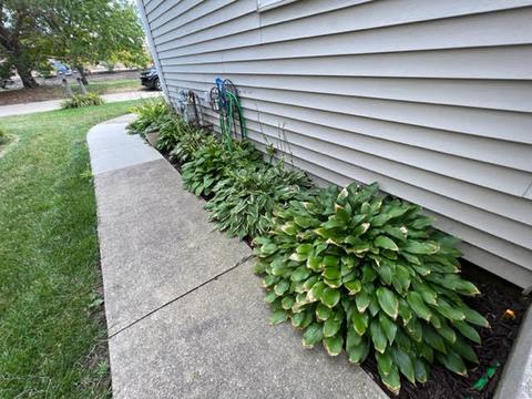 311 S Towanda Ave #7, Normal, IL 61761 photo 31