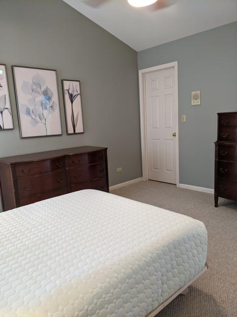 4205 Rivertowne Ct, Plainfield, IL 60586 photo 17