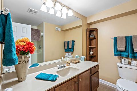 1651 Water Tower Ct, Wheaton, IL 60189 photo 21