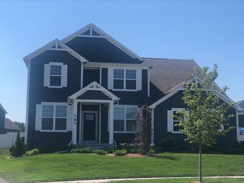 3687 Skyglade Dr, Elgin, IL 60124 photo 1