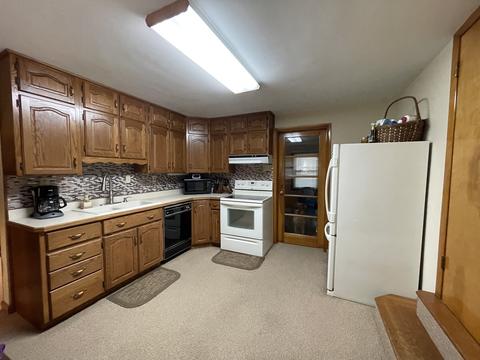 323 W Devlin St, Spring Valley, IL 61362 photo 10