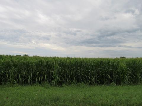 Rd W Cooper Road, Custer Park, IL 60481