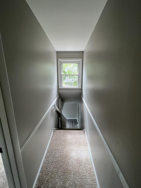 3526 Halsted Blvd, Steger, IL 60475 photo 18