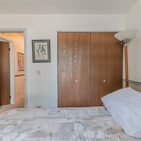 1532 Springview Ct #C1, Wheeling, IL 60090 photo 19