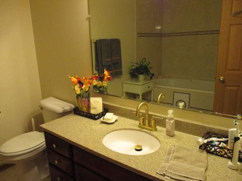 3222 W 155th St W, Markham, IL 60428 photo 7