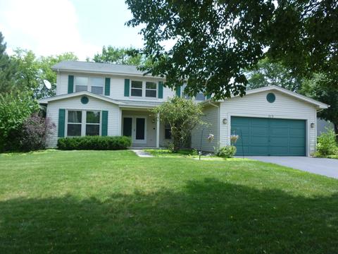 515 Eagle Ridge Ln, Algonquin, IL 60102 photo 34