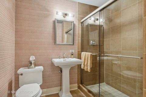 54 Elm St, Chicago, IL 60611 photo 20
