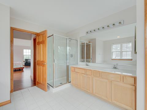 1438 Saddleridge Pl, Bartlett, IL 60103 photo 23