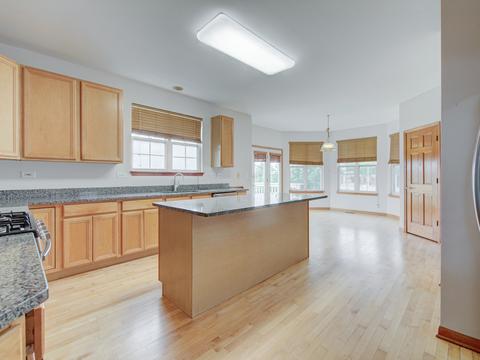 1438 Saddleridge Pl, Bartlett, IL 60103 photo 13