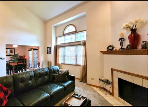8532 Pearson Dr, Darien, IL 60561 photo 6