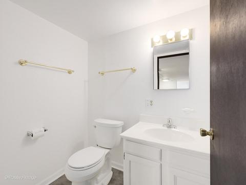 925 Wheaton Oaks Dr, Wheaton, IL 60187 photo 10