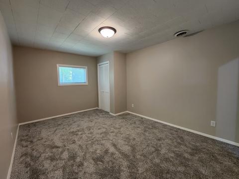 501 E Mill St, Chenoa, IL 61726 photo 24
