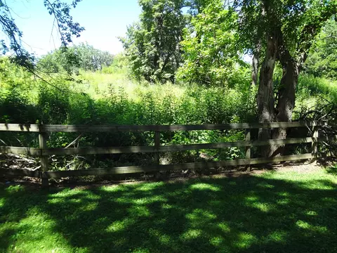 363 S Bateman Cir, Barrington Hills, IL 60010
