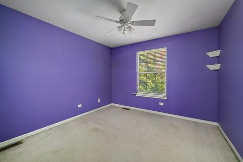 7316 Torrey Cir, Plainfield, IL 60586 photo 18