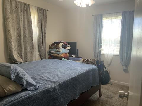 421 Mill St, Elgin, IL 60123 photo 17