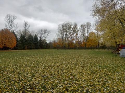 8308 Schmidt St, Spring Grove, IL 60081 photo 32