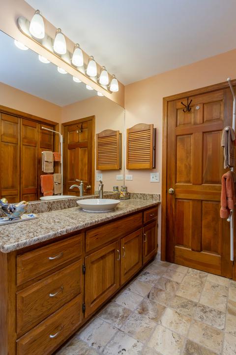 332 Patricia Ln, Bartlett, IL 60103 photo 28