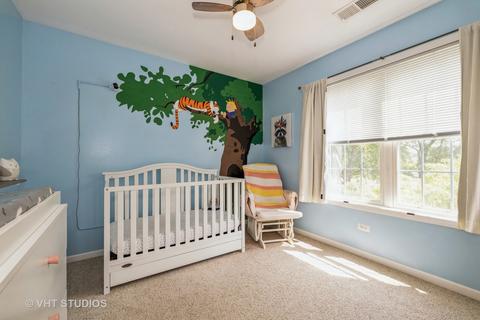4320 Bronk Cor, Plainfield, IL 60586 photo 9