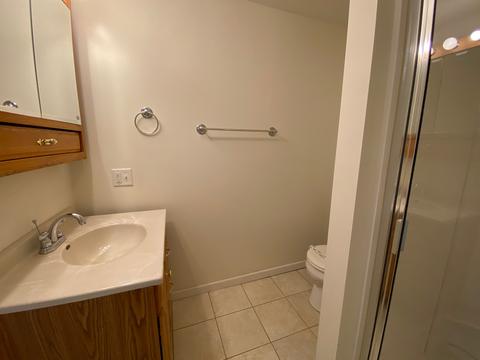 409 Phoenix Ave, Bloomington, IL 61701 photo 29